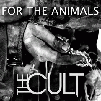 The Cult : For the Animals